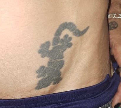 The Gecko Tattoo That Never Became a Crocodile