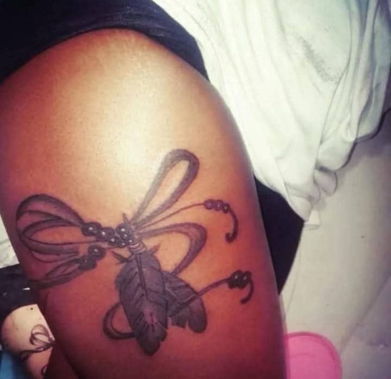 The Feathered Dragonfly